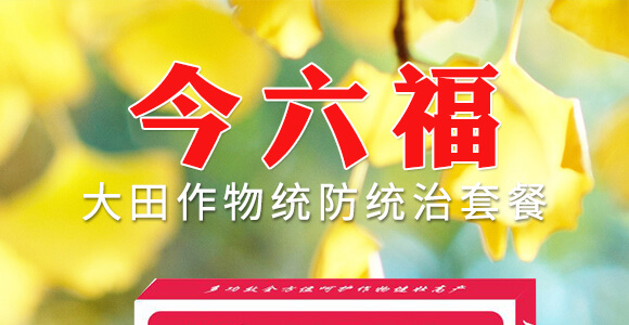 ��������y(t��ng)���y(t��ng)���ײ�-������-�滯���h_01