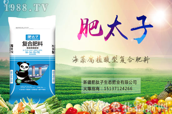 ��(f��)�Ϸ�