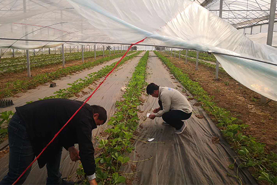 ��ݮȫ�a(ch��n)�I(y��)朷�����