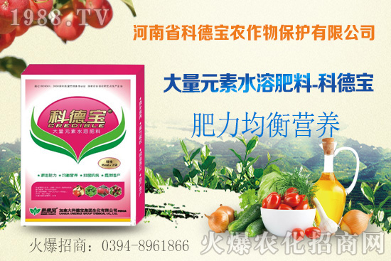 �����a(ch��n)�طֲ������������Nֲ�h(hu��n)��Ҫ����