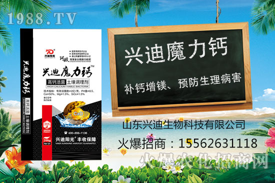  �Ҙ�(sh��)�ѹ���ô�k���Ҙ�(sh��)�ѹ�������������η���̽ӑ��