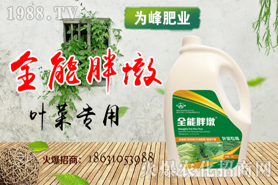 ���؃r(ji��)��