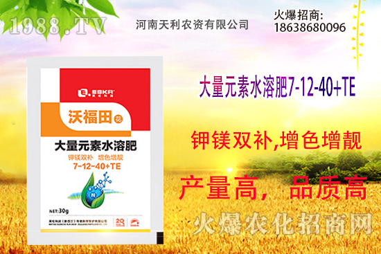 ��피t��ô�B(y��ng)����피t���B(y��ng)ֳ������ע�����(xi��ng)��