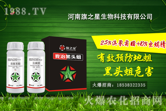 什么是韭蛆，韭蛆發(fā)生規(guī)律，韭蛆無公害防治方法！