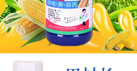 ���׳��݄��⚢�͡�����L_03