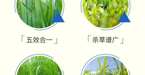 ���׳��݄��⚢�͡�����L_06