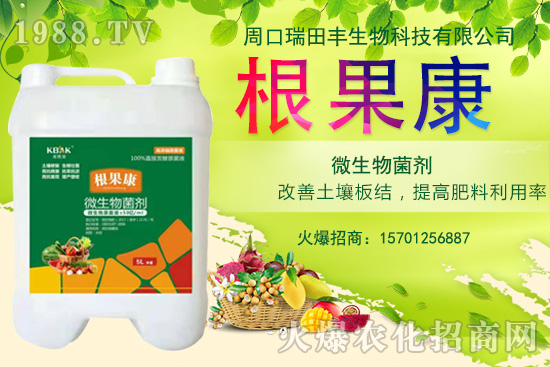 ����ʩ��