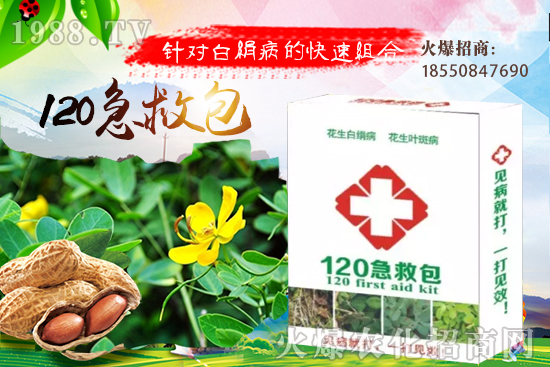 �ȹ����緽������Щ���ȹ���ô���Զ�ֲ��