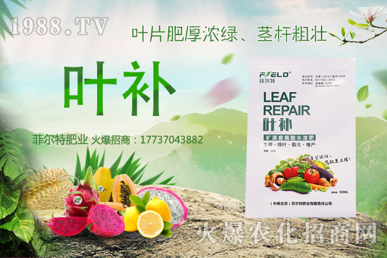 �o�����Nֲǰ����ô�����o�����Nֲ�r(sh��)�g�ͷ�����