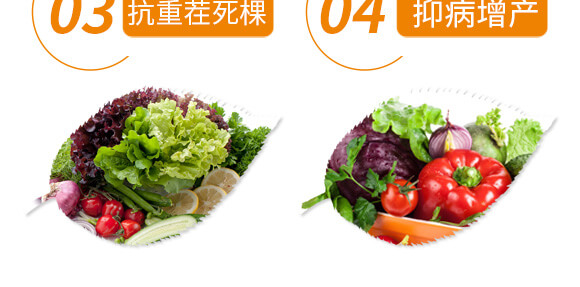 ����������-��ֲ(li��n)��_07