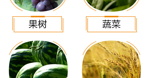 ����ֲ��ˮ�ܷ���-�_���_�F-��΢_09