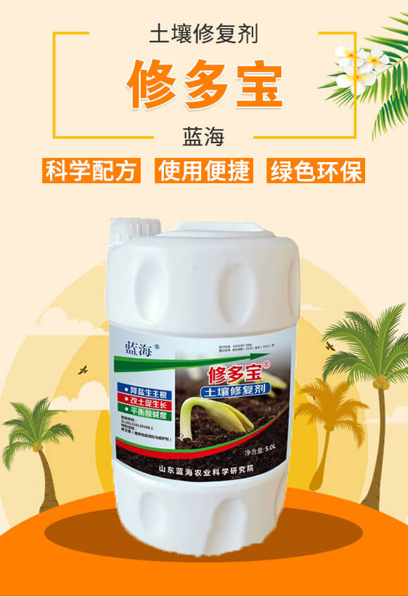 �����ޏ�(f��)��-�޶�����5L��-�{(l��n)��_02