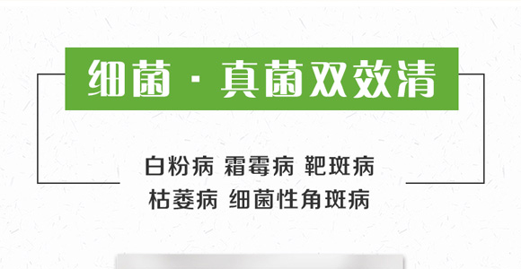 �߮a�G�M��-������-��������_01