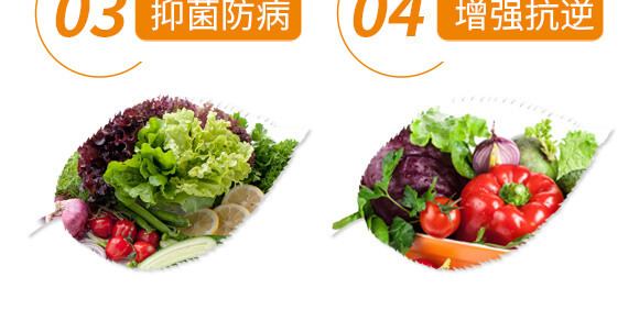 ���ʡ��˄���-��ֲ(li��n)��_07