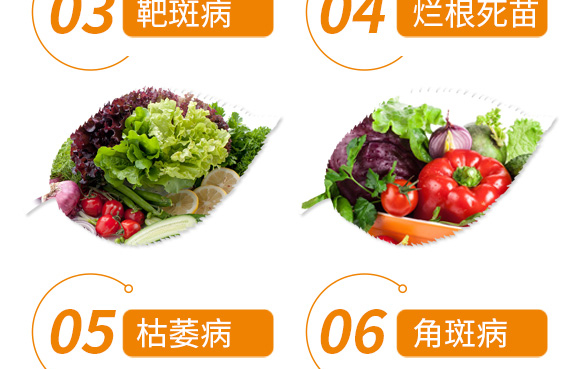 �߮a�G�M��-������-��������_08