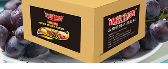 ����ֲ��ˮ�ܷ���-�_���_�F-��΢_03