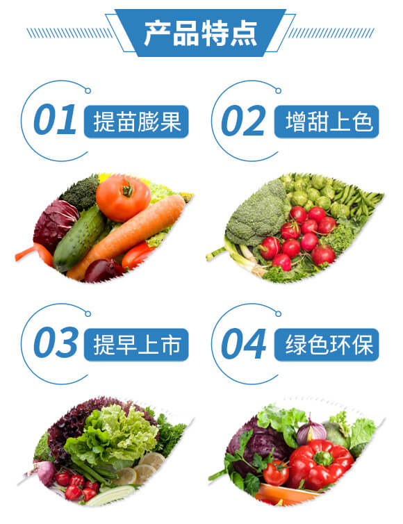 �ЙC(j��)�z�wȫԪ�ط�17-17-17+TE-�޹�1̖(h��o)-�{(l��n)��_03