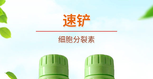 ��(x��)��������-��(gu��)�S���@_01