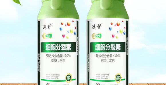 ��(x��)��������-��(gu��)�S���@_02