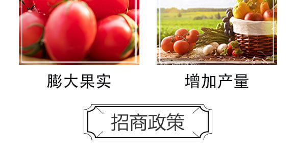 ��(x��)��������-��(gu��)�S���@_06