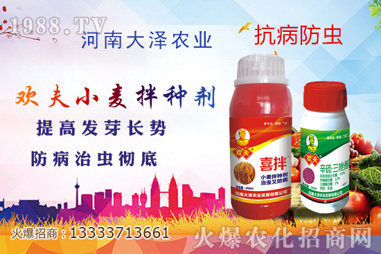 С����N������ô��Ҫ�ᣬ��νoС����N�������r(n��ng)��Ҫ�㶮��