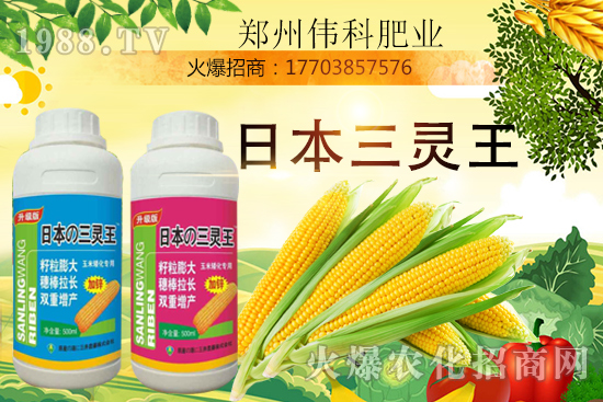 ���׿����״κ������׿����r�g�����׿����a(ch��n)Ʒ�x����