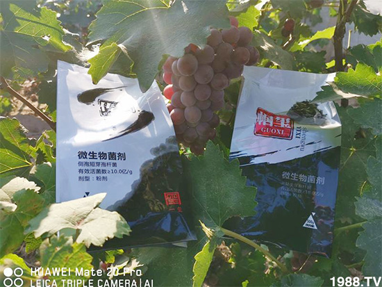 �îa(ch��n)Ʒ����������һ�t���΢������������t���͑��挍(sh��)������