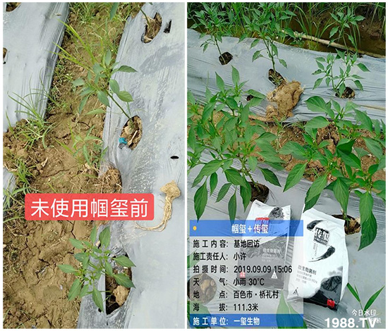 �îa(ch��n)Ʒ����������һ�t���΢������������t���͑��挍(sh��)������