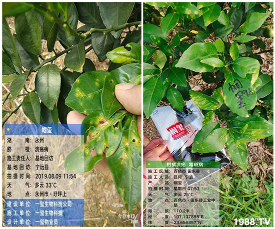 �îa(ch��n)Ʒ�����ã���һ�t���΢������������t���͑��挍(sh��)������