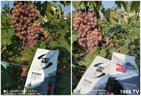 �îa(ch��n)Ʒ����������һ�t���΢������������t���͑��挍(sh��)������