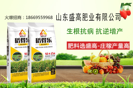 ʢ�߷ʘI(y��)����������Щ��(y��u)������˾����a(ch��n)Ʒ����Щ��