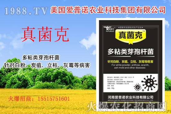 ����(gu��)��(��i)���Z��ʲô��(y��u)��(sh��)������(gu��)��(��i)���Z�a(ch��n)Ʒ����Щ��