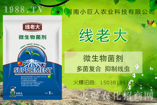 ���Y���xզ���������Y���x����-�����ϴ󡱶���ͺϡ����ƾ��x��