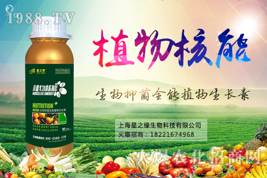 �S�Ϻ��ǲ�����