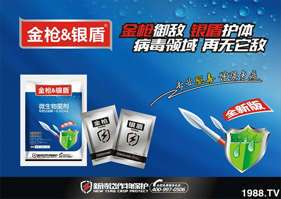 ���y�����b