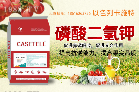  ����������ʲô���ϣ������������ü�ʹ�÷�����