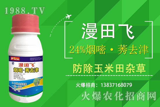 24%���ס�ݬȥ�����Ч���Æ᣿24%���ס�ݬȥ����ʲô���c��