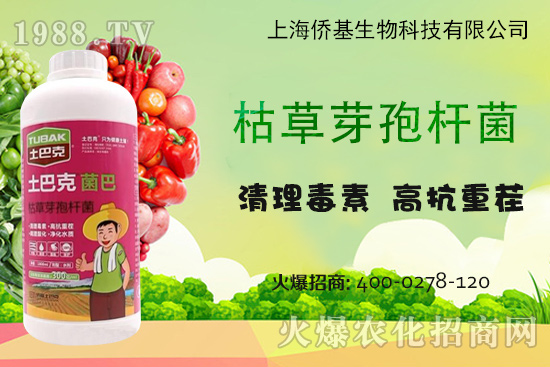 �Ϻ��S�������Ϳˡ�-��ע�����������غ������ޏ�15�꣡