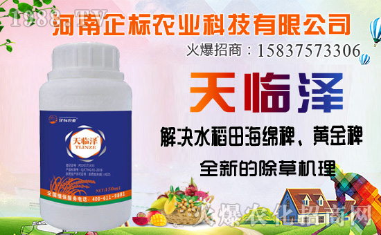 丁草胺除草機理，丁草胺能防除哪些草？使用注意事項有哪些？