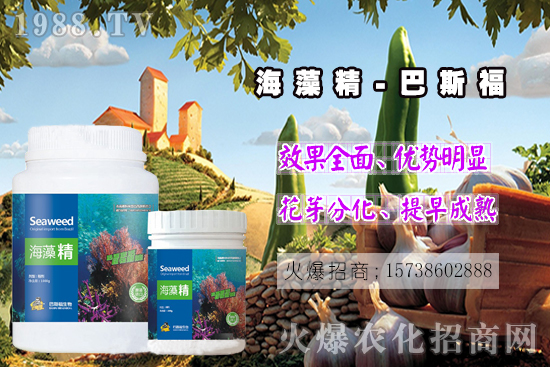  ߀���˽⺣�徫��ɶ����������out�������徫�����ж����