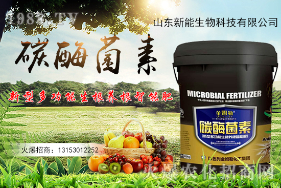 һ�ʶ������ЙC̼+����ø+�����+�I�B(y��ng)Ԫ�أ�̼ø������ʲô������