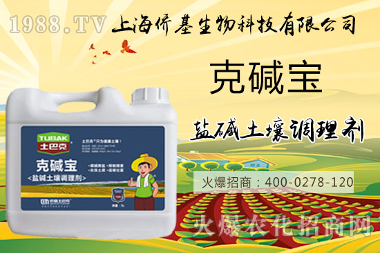 土壤鹽堿危害大，“克堿寶”消除鹽堿，還您一片沃土！