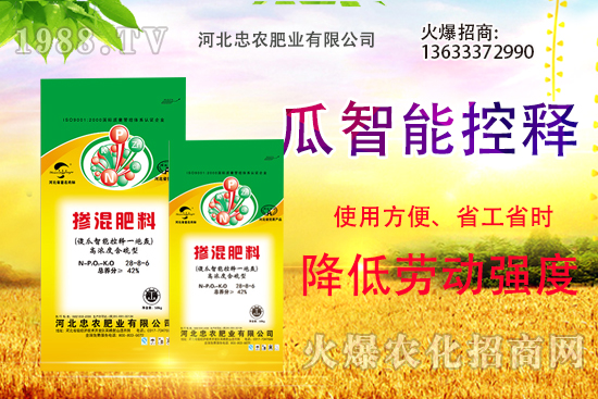 �������������Щ������ʵ�ʹ�÷�����ԓ����xُ(g��u)��