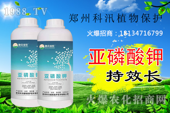 ������⛹�Ч�������C������Щ������������õĺ���᣿