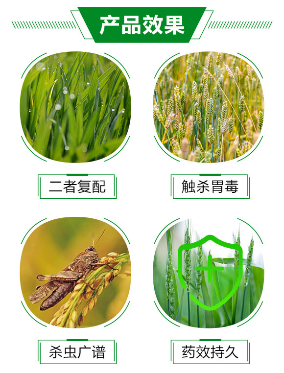 20%�������x��-���A����_03