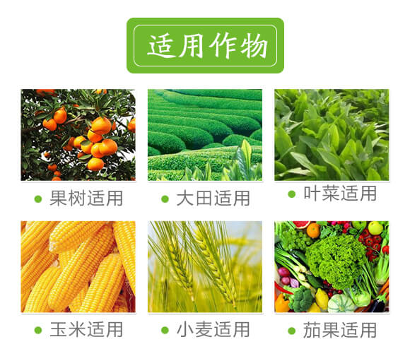 �VԴ�S�����-��ɫ����-���r(n��ng)˹�_(d��)_07