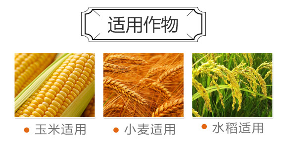 ���ˮ�|�����ȩ��ጏͺϷ�26-10-12-Ψ��-�Ź��r�I(y��)_04