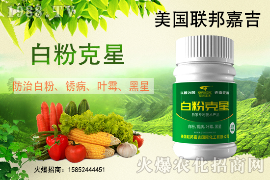 �׷۲���(qi��ng)�݁��u������(f��)�l(f��)������β���ô������׷۲������]��