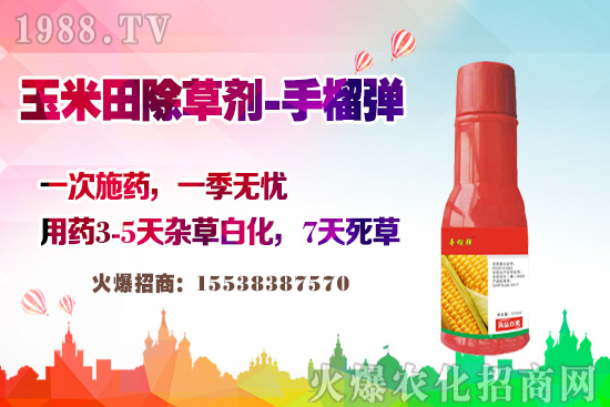 ������������v�������׳��݄��@�Ӵ������L�s�ݲ�������