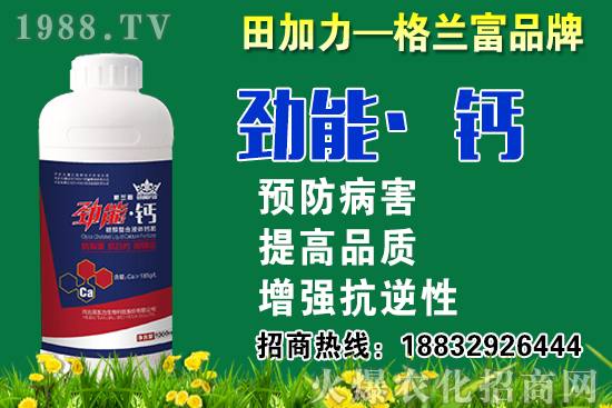 2020���}��ʲô�r(sh��)��N�����}���NֲҪע����Щ���}��